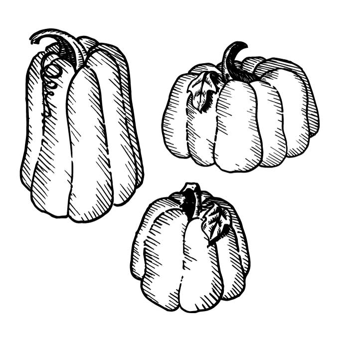 Pumpkin Clipart Bundle